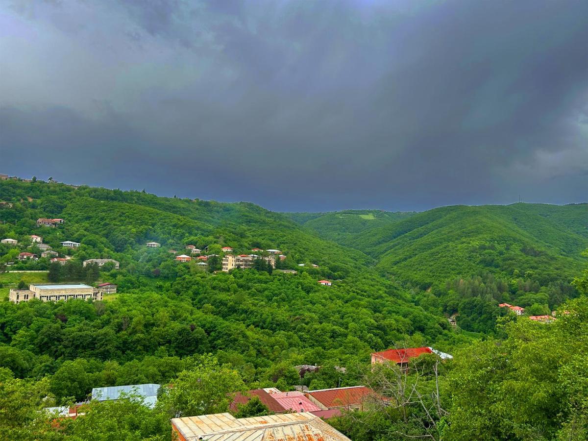 Hotel Vim In Сігнагі Екстер'єр фото