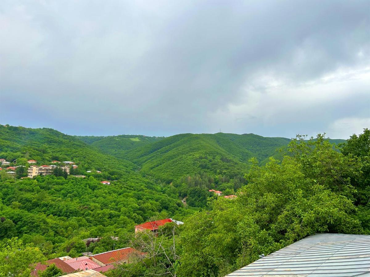 Hotel Vim In Сігнагі Екстер'єр фото